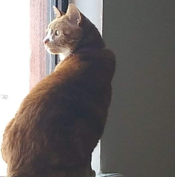 Meet your Posher, Kelly khamisa azania - Picture 1 of 1